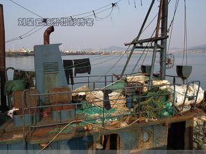 油贵鱼少亏本，威海渔港大船不出海实拍背后 畜牧渔业饲料销售困境与出路探析