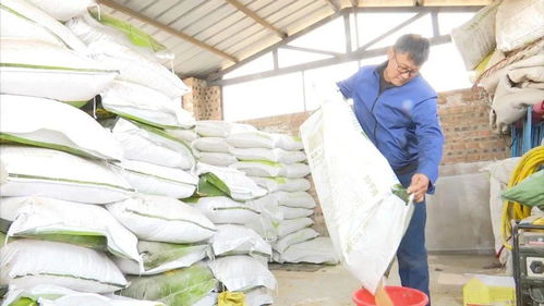 阿巴嘎旗洪格尔畜牧业合作社 多元化经营助力现代畜牧业发展