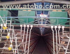 荥阳市高村大张强胜机器厂 畜牧养殖业设备热卖促销及供应商解析