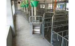 自动化料线规格与万晟畜牧设备售后保证的全面解析