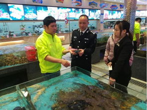 高明区农林渔业局畜牧渔业饲料销售工作满意度调查报告