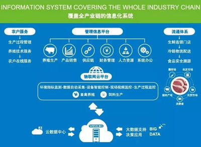 中国生猪产业企业数字化发展加速 牧原、温氏、正邦、新希望积极布局